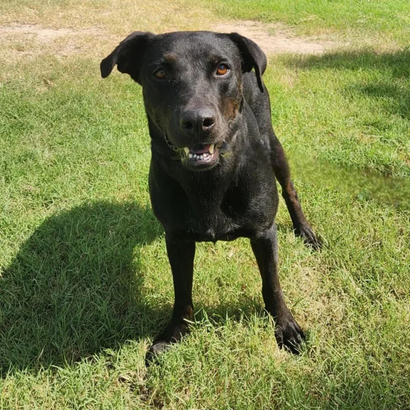 Ghost Buster Jum thumbnail 2