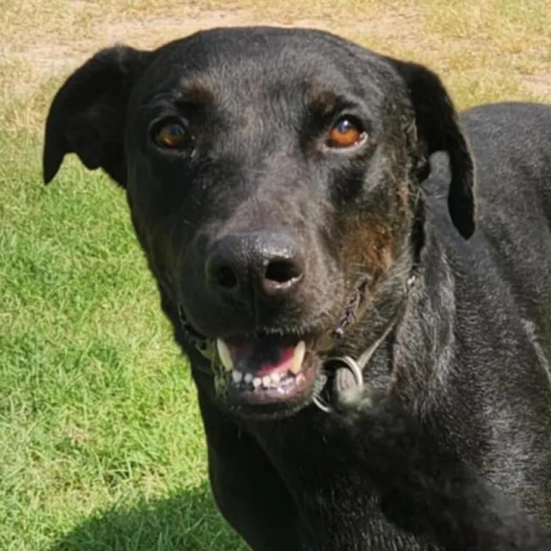 Ghost Buster Jum thumbnail 3