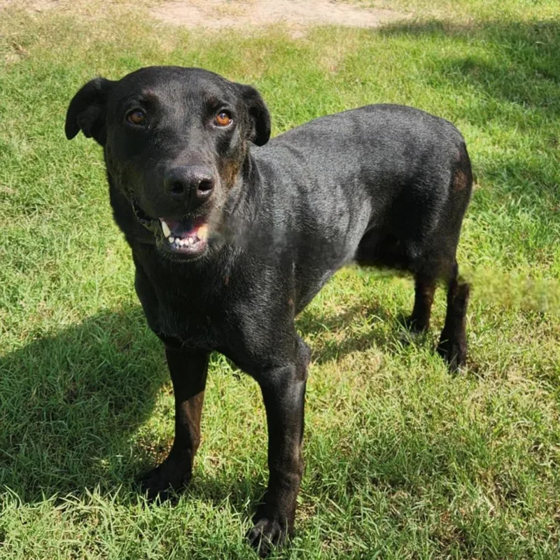 Ghost Buster Jum thumbnail 4