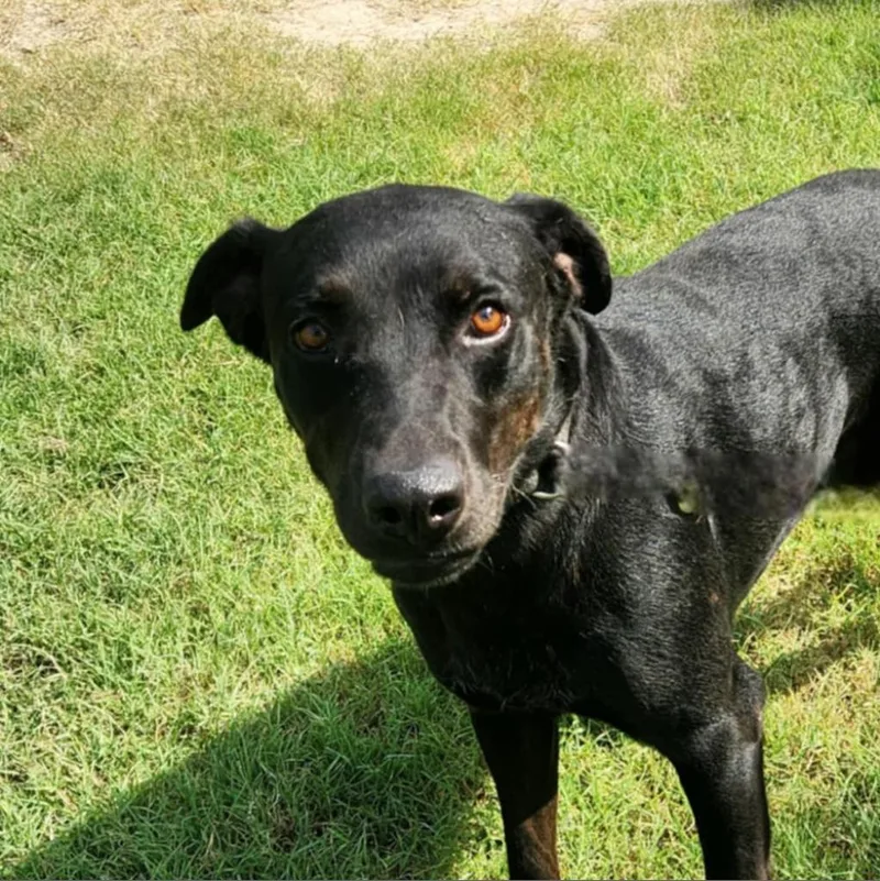 Ghost Buster Jum thumbnail 6