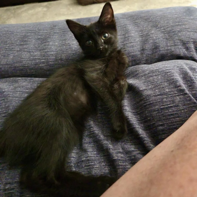 Samantha thumbnail 2