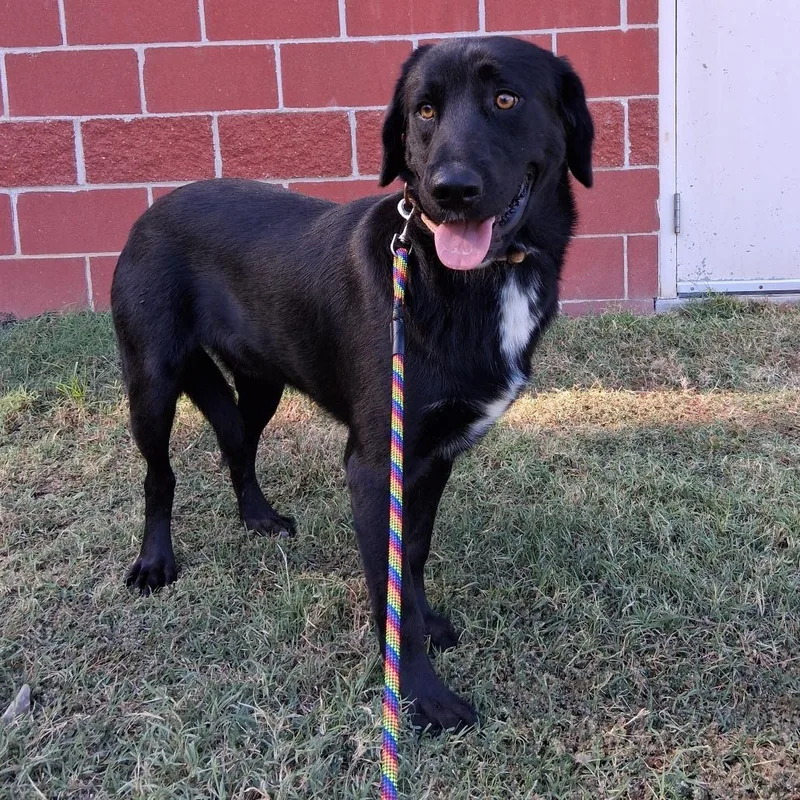 Ernie thumbnail 2