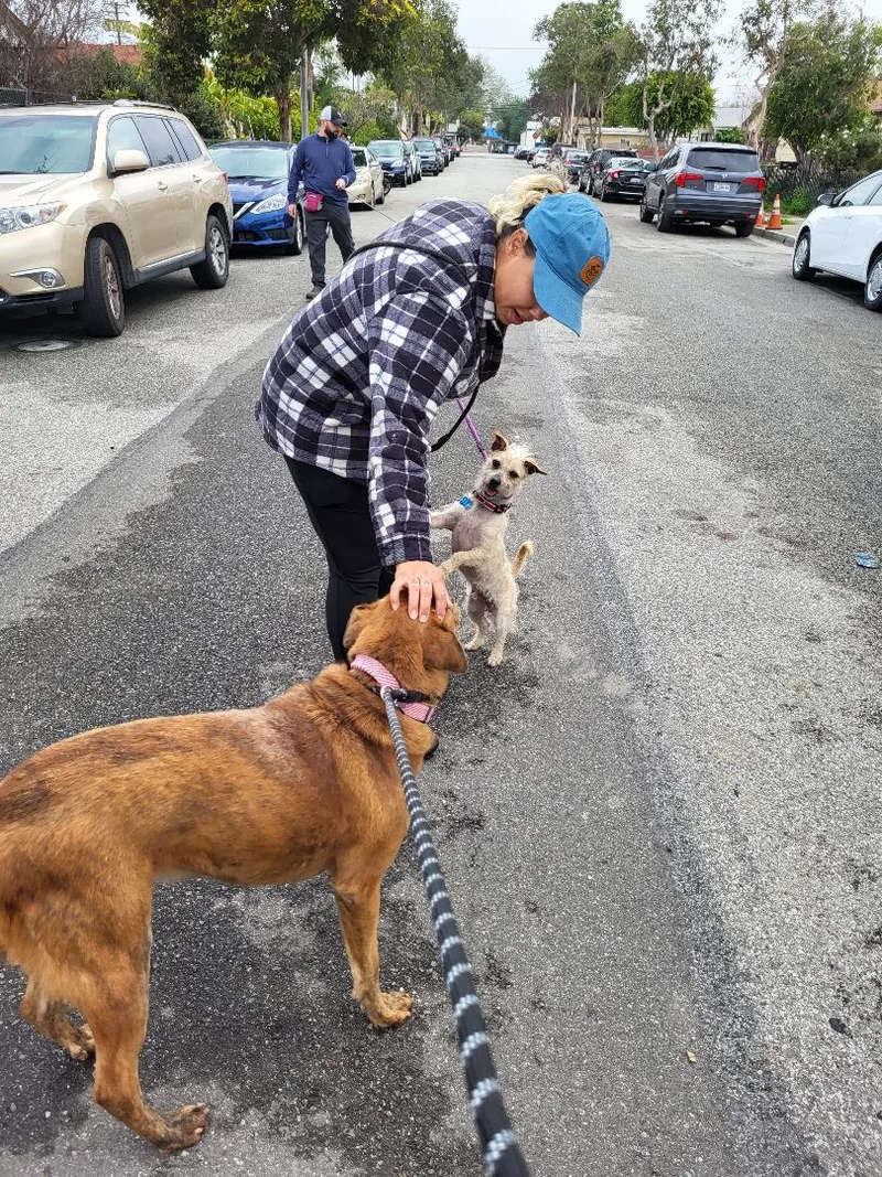 Sir Charles Darwin! thumbnail 2