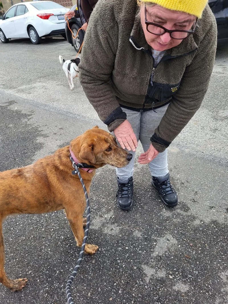 Sir Charles Darwin! thumbnail 4