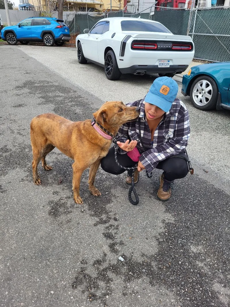 Sir Charles Darwin! thumbnail 5