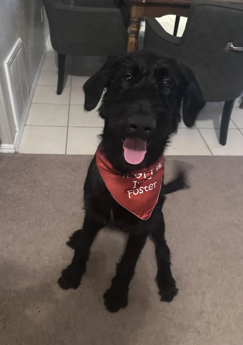 Brimsley thumbnail 3