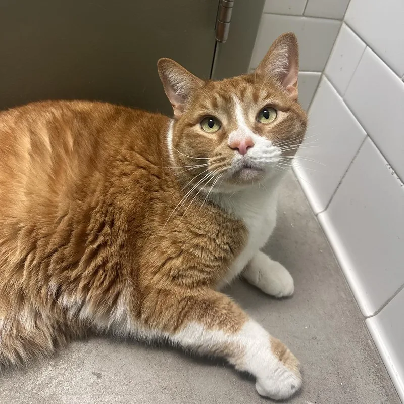 Freddy And Qz thumbnail 4