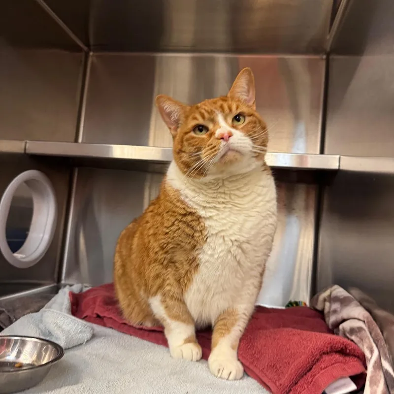 Freddy And Qz thumbnail 5