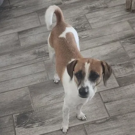 Willy Nelson thumbnail 2