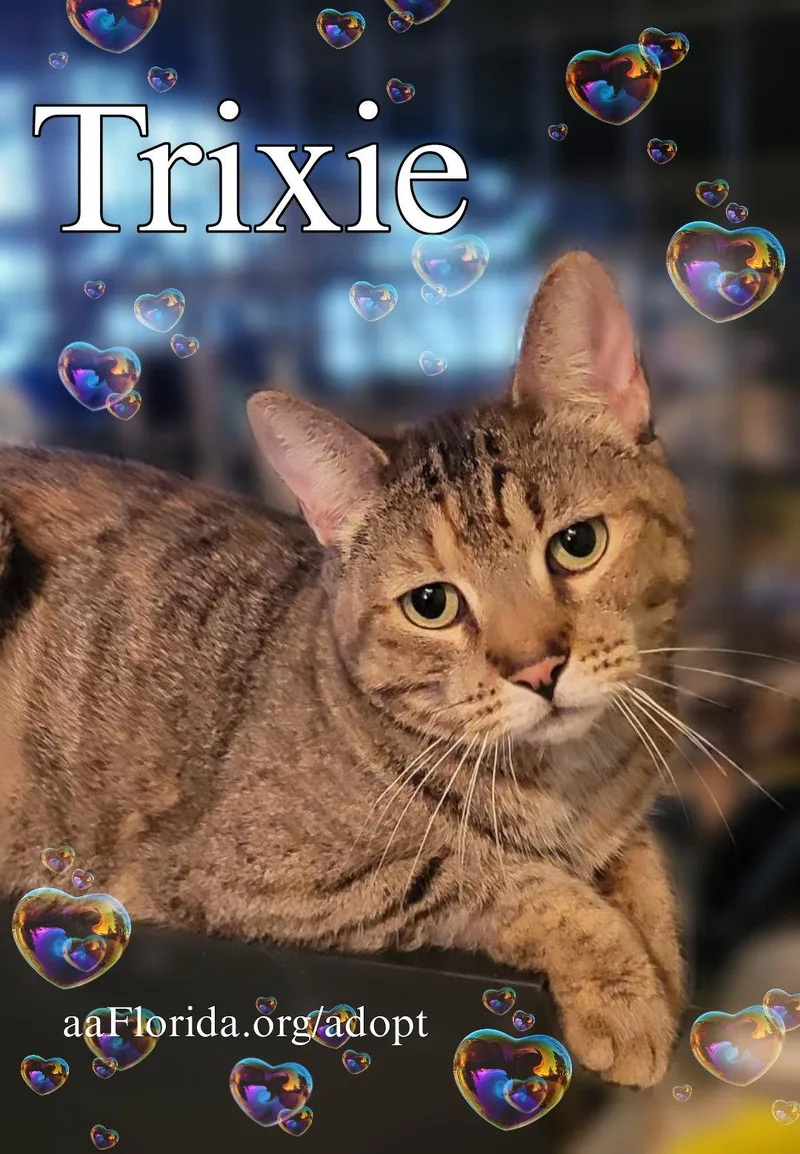 Trixie thumbnail 2