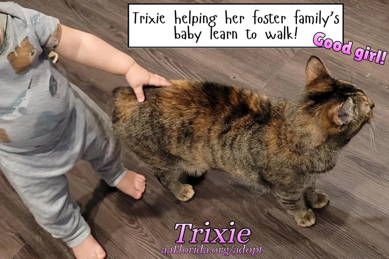 Trixie thumbnail 3