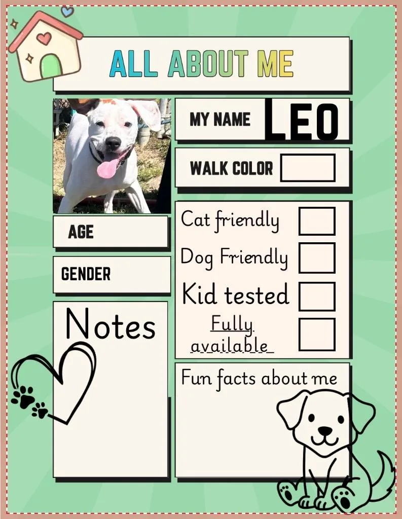 Leo thumbnail 6