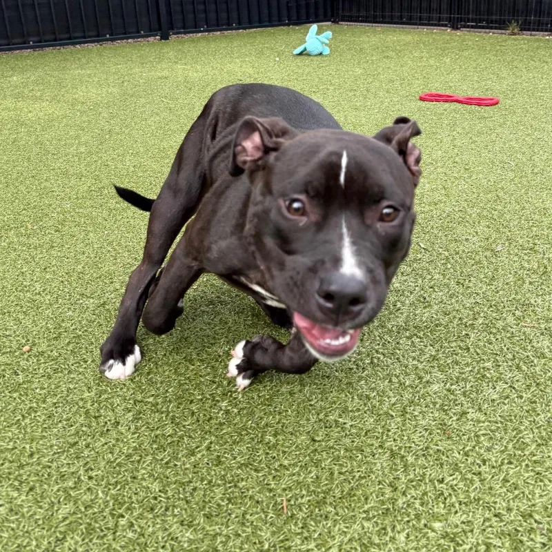 Buster thumbnail 3