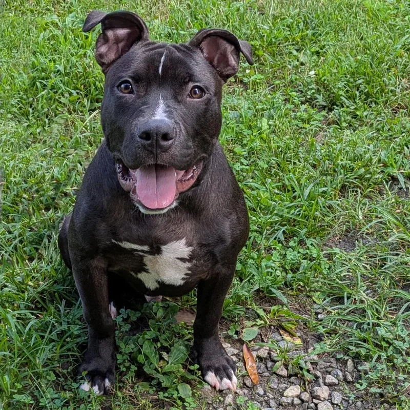 Buster thumbnail 5
