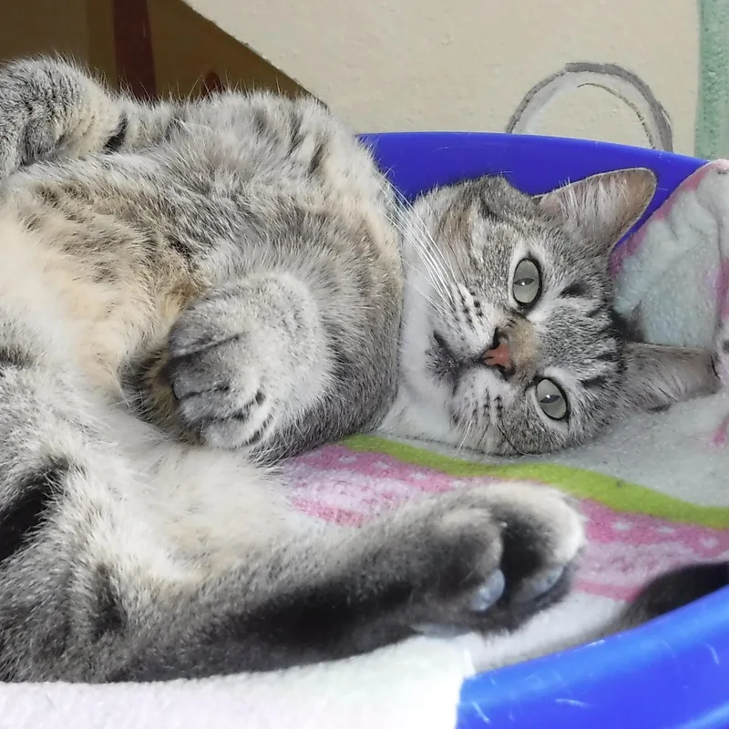 Birdie  Sweet Personality