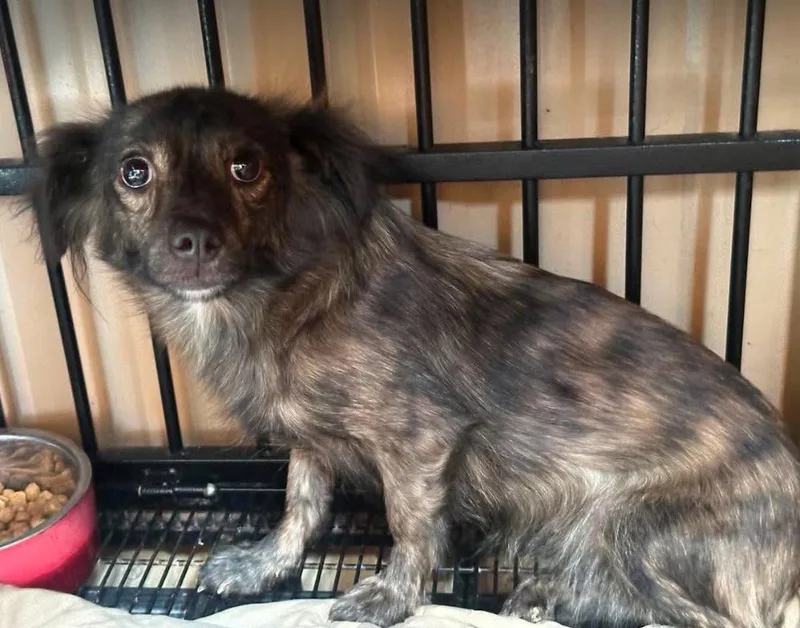 Dottie in TX thumbnail 2