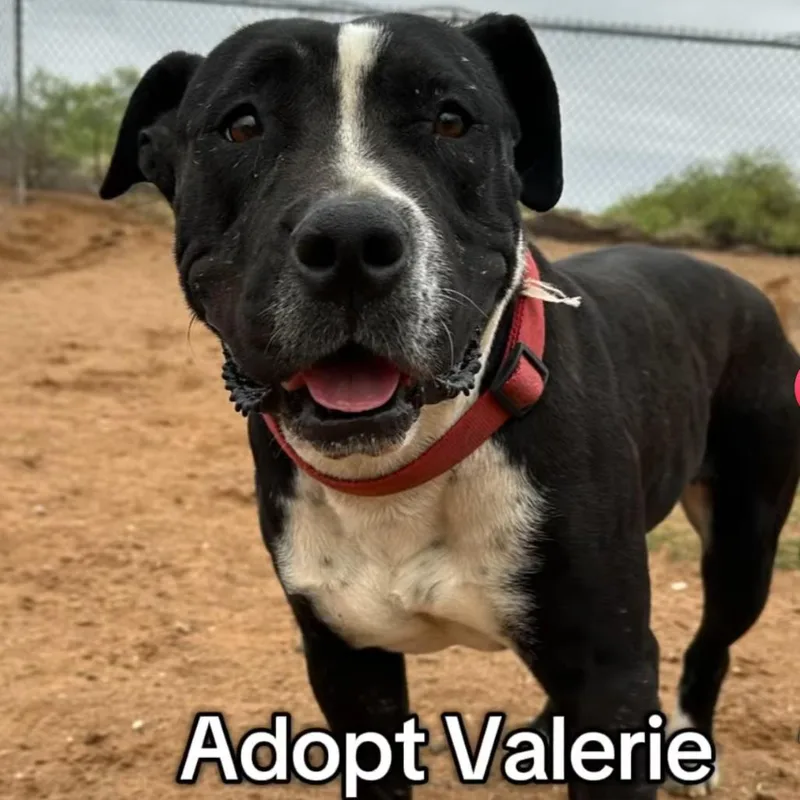 Valerie thumbnail 3