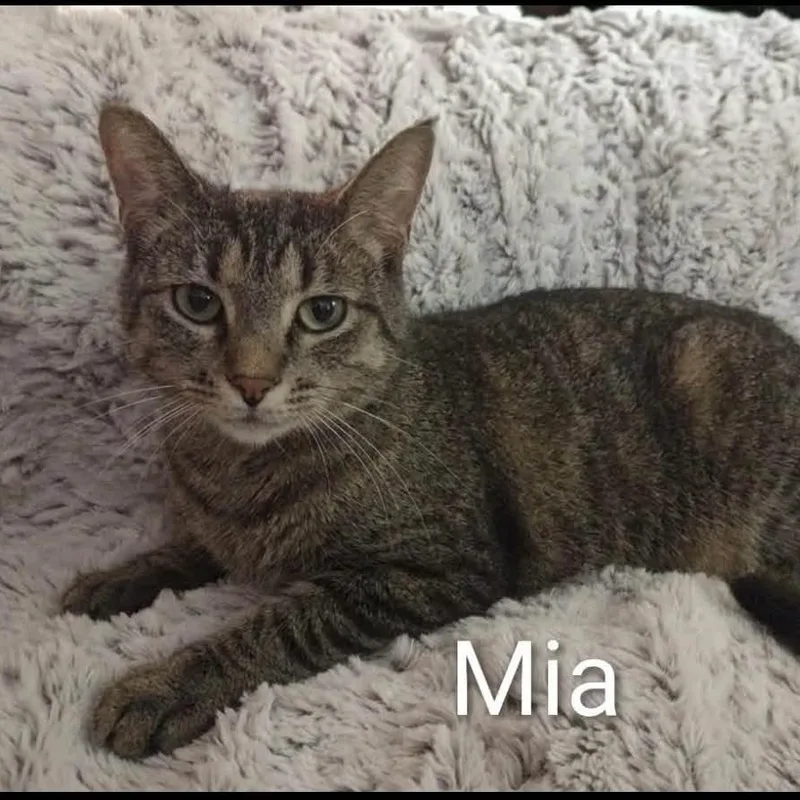 Mia