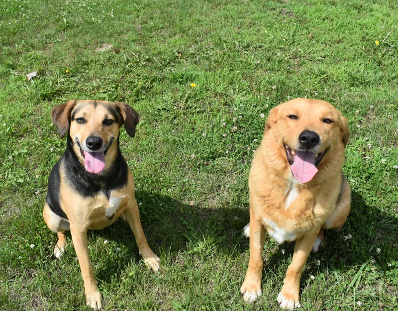 Jimbo James thumbnail 2