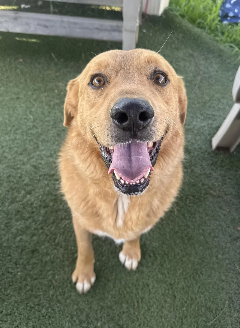 Jimbo James thumbnail 4