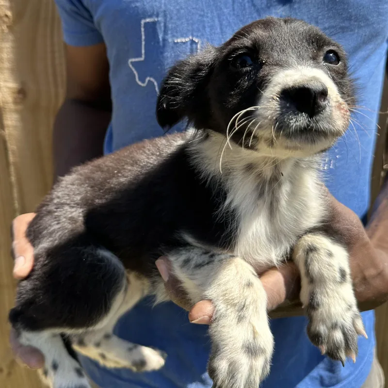 Edith  Local April thumbnail 2