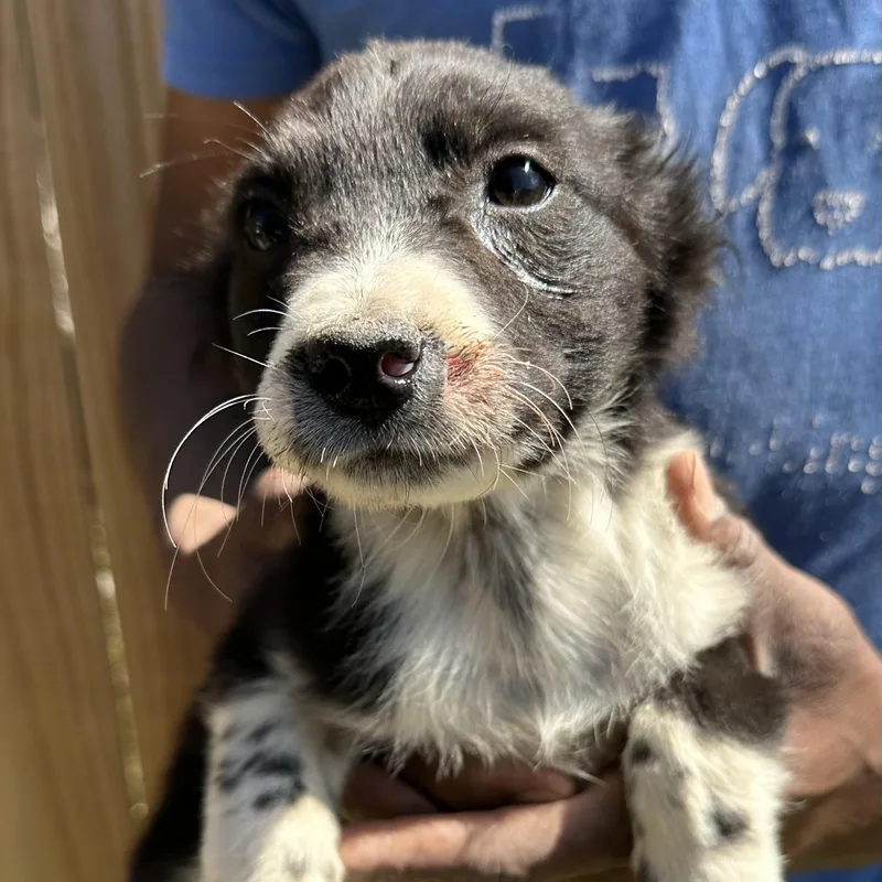 Edith  Local April thumbnail 3