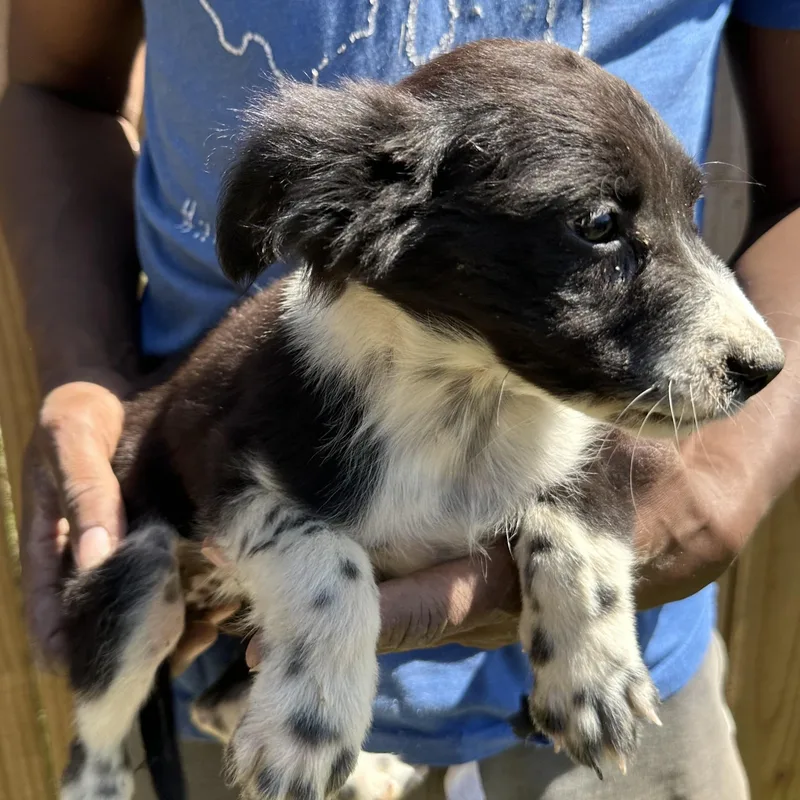 Edith  Local April thumbnail 4