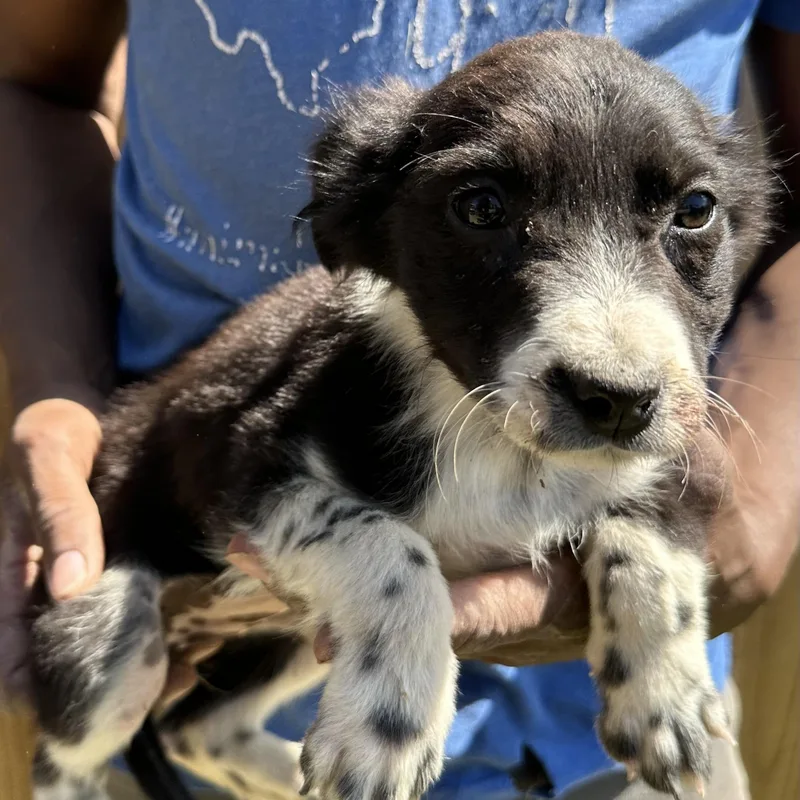 Edith  Local April thumbnail 5