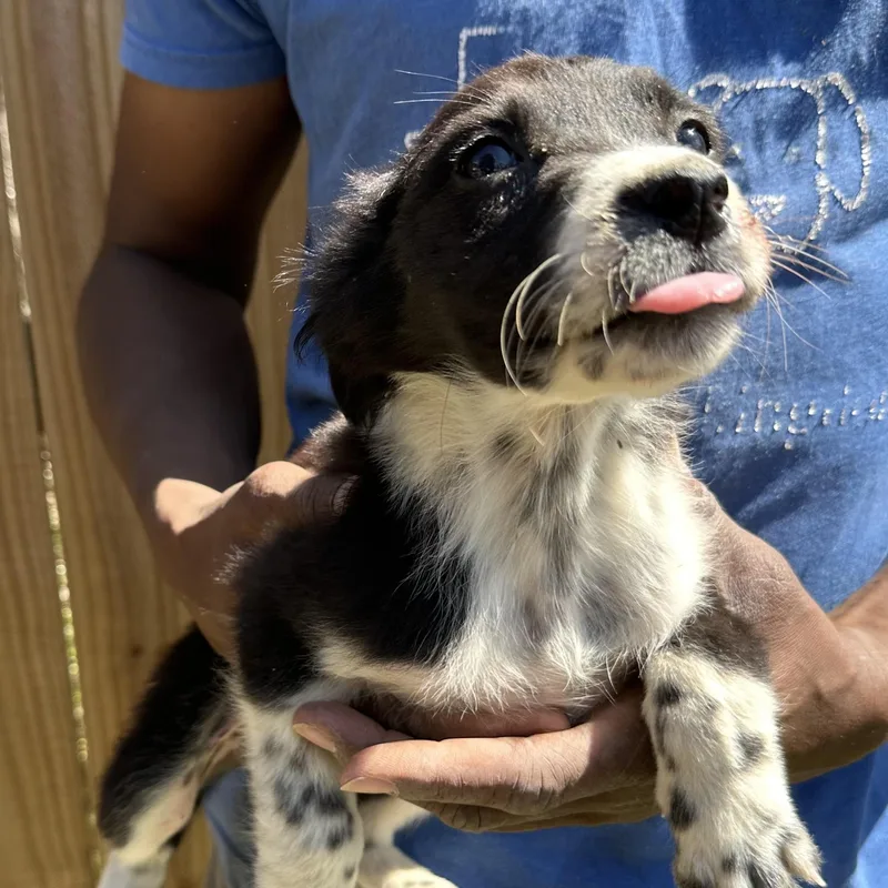 Edith  Local April thumbnail 6