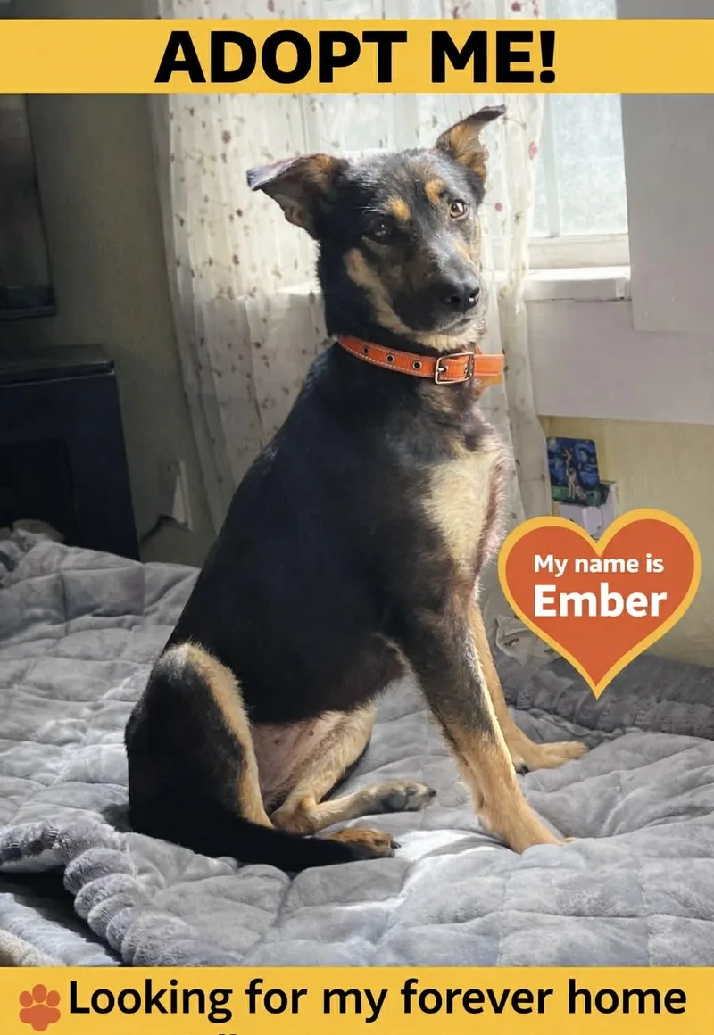 Ember