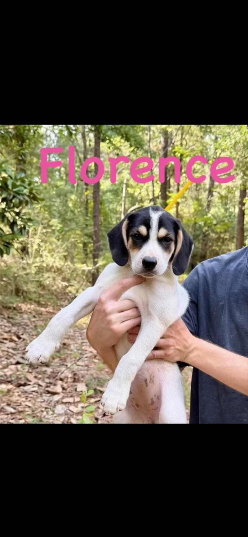 Florence thumbnail 2