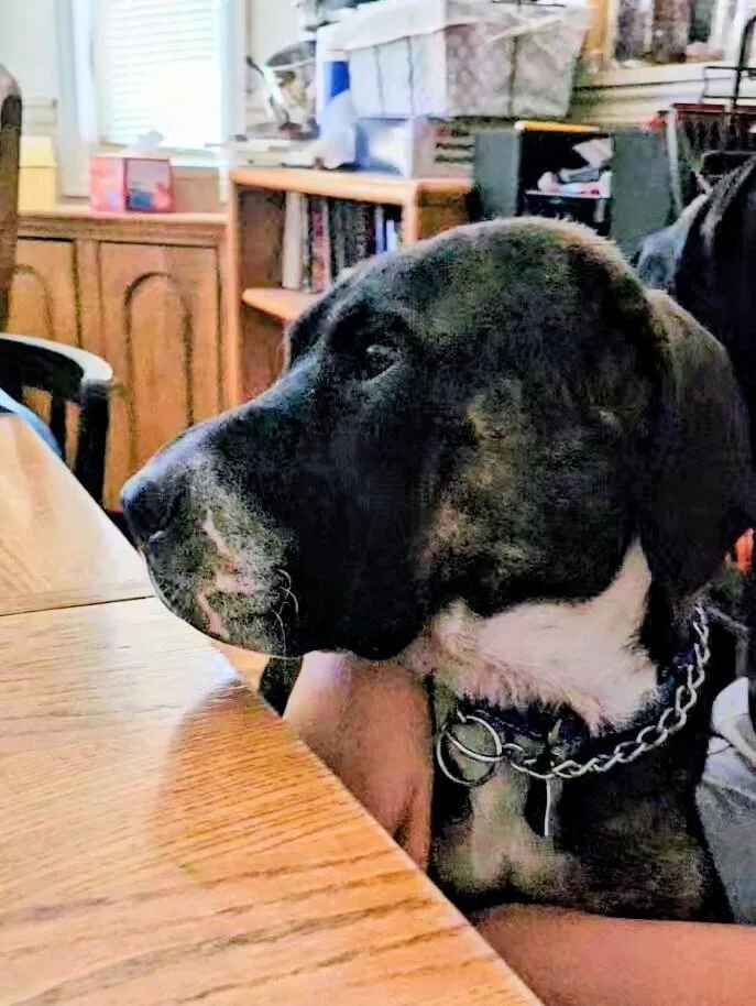 Zeva