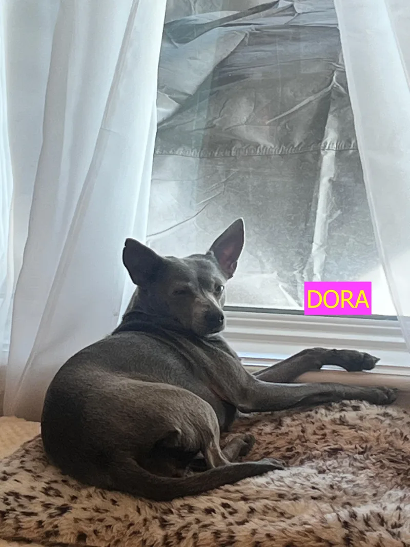 Dora & Beauty — thumbnail 3
