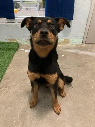 Kingston thumbnail 2