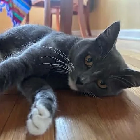 Mama Mistletoe thumbnail 2