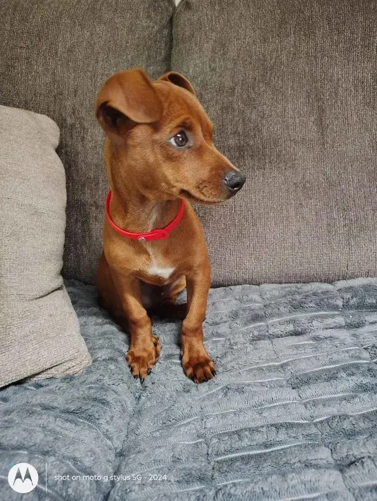 Coco