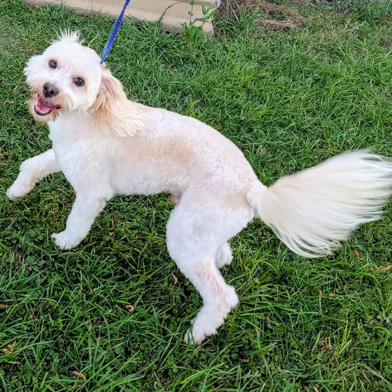 Leo Alexander thumbnail 2