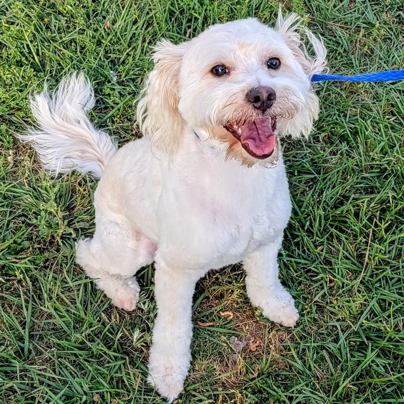 Leo Alexander thumbnail 3