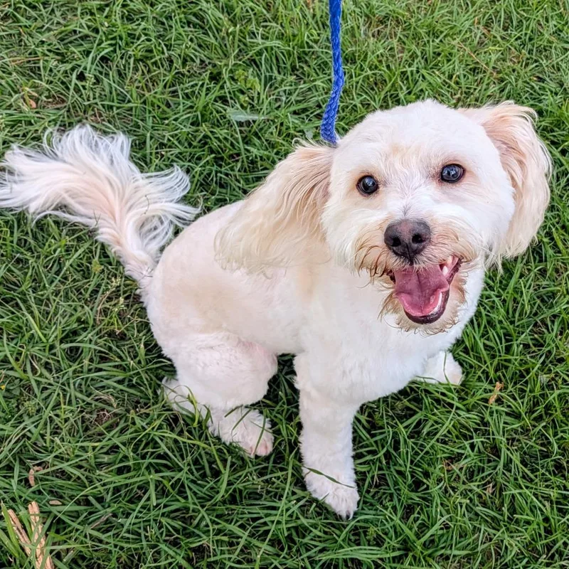 Leo Alexander thumbnail 5