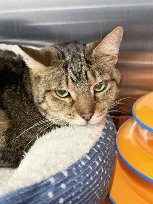 Oliver Bonded With Tyler