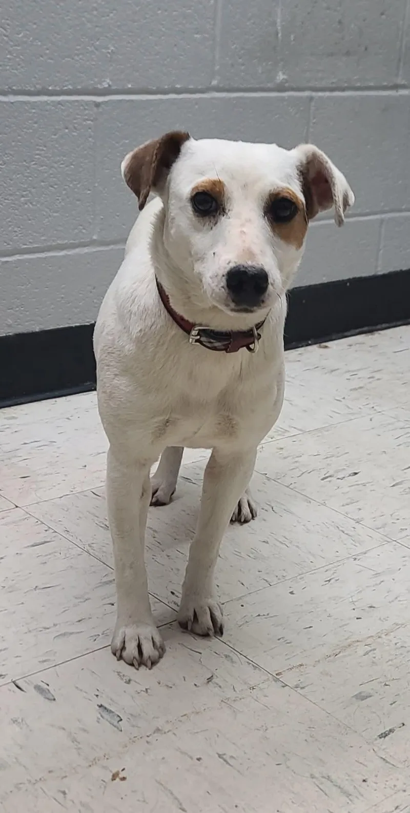 Lil Girl thumbnail 2