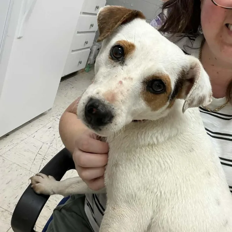 Lil Girl thumbnail 3