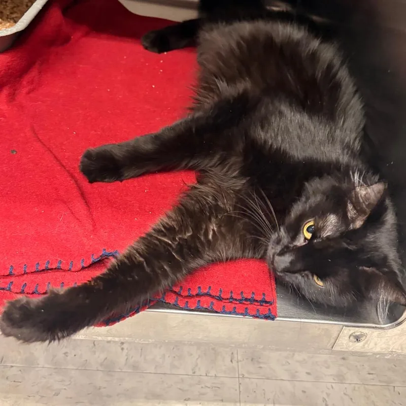 Buster Marie thumbnail 4