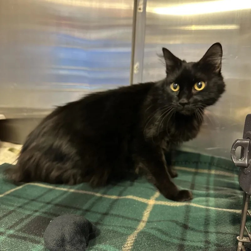 Buster Marie thumbnail 5