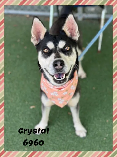 Crystal thumbnail 2