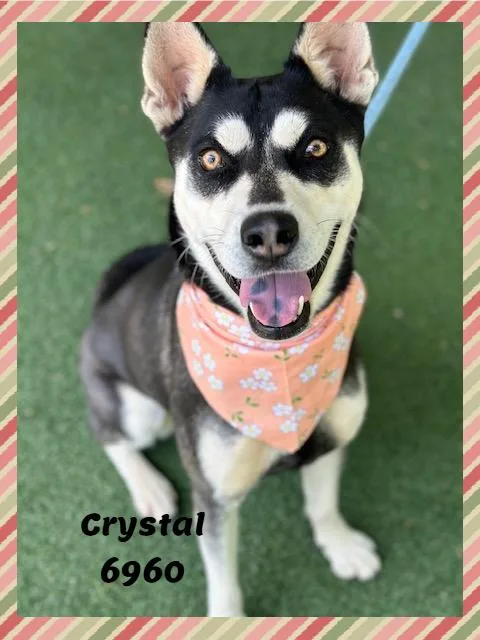 Crystal