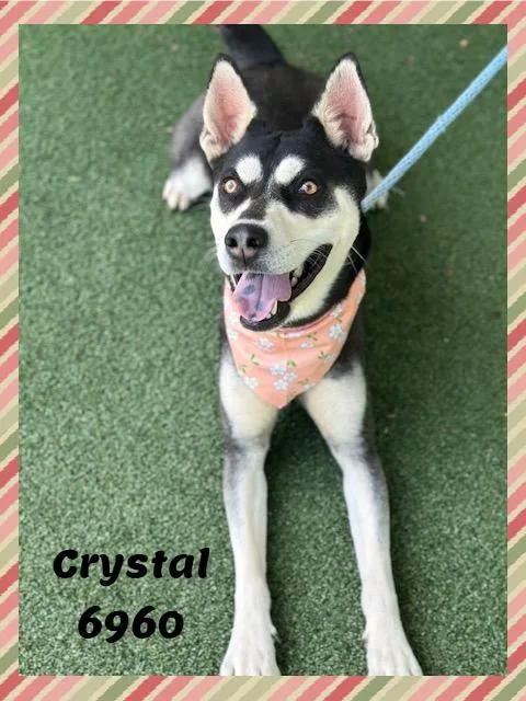 Crystal thumbnail 3