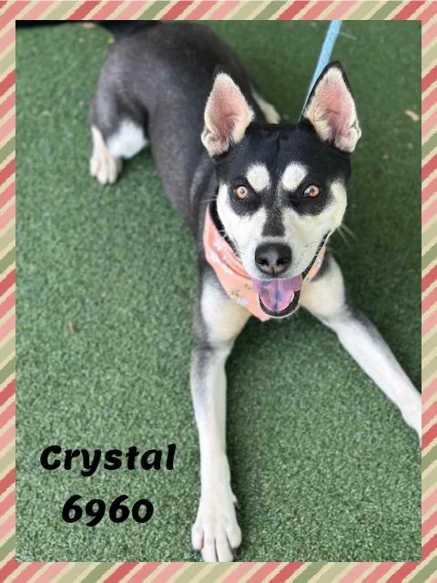 Crystal thumbnail 4