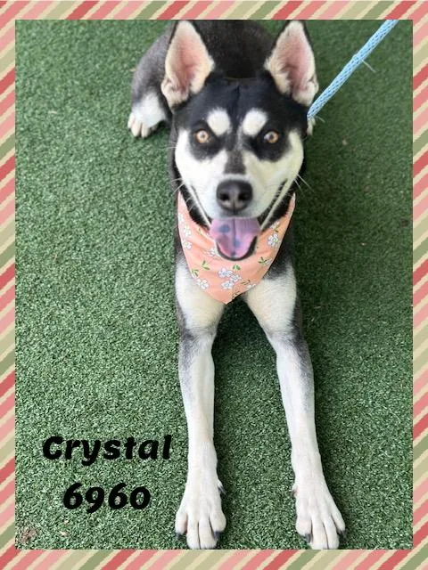Crystal thumbnail 5