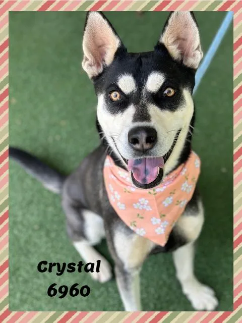 Crystal thumbnail 6